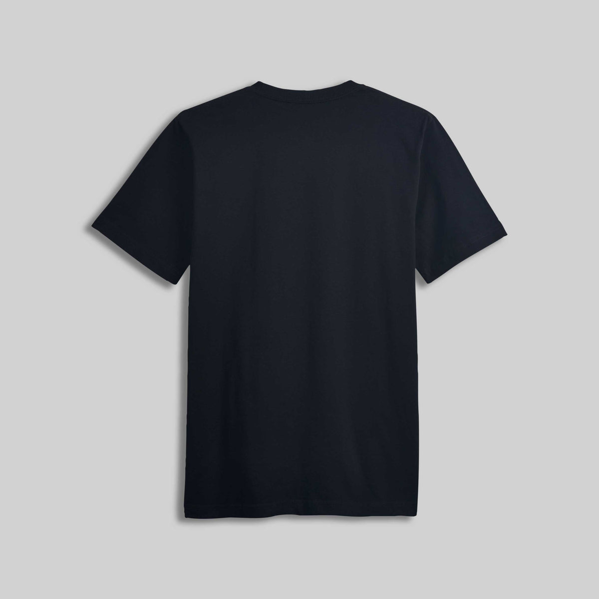 1009 HEAVYWEIGHT T-SHIRT