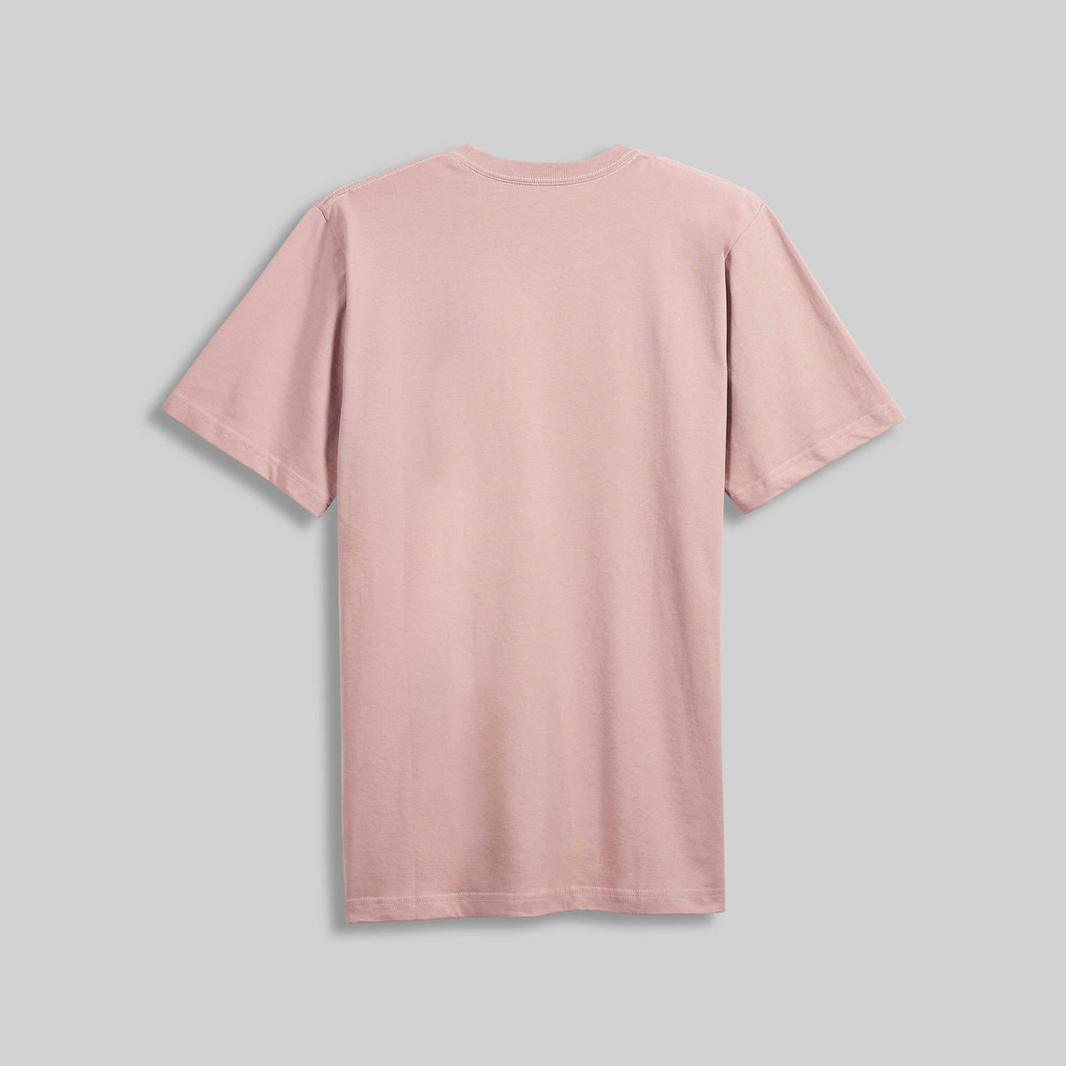 1009 HEAVYWEIGHT T-SHIRT