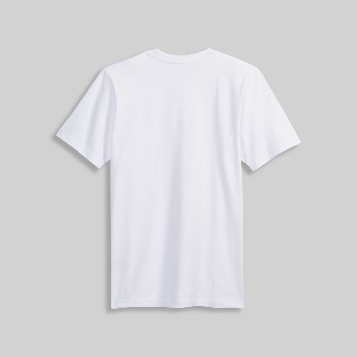 1009 HEAVYWEIGHT T-SHIRT